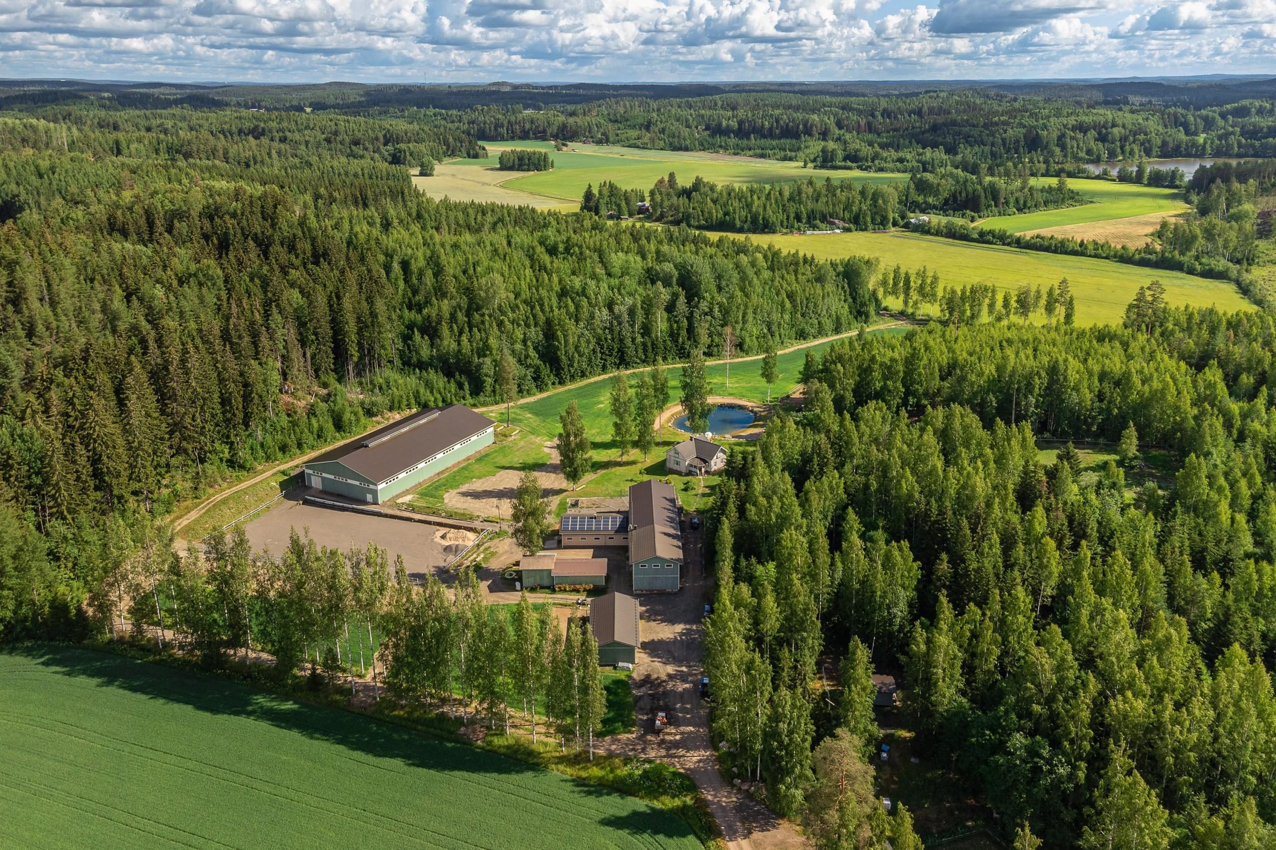 Saravet Vähikkälän miljöötä ilmakuvissa. Kuva: © Anu Mäkinen / Mainas @mainas_kuva
