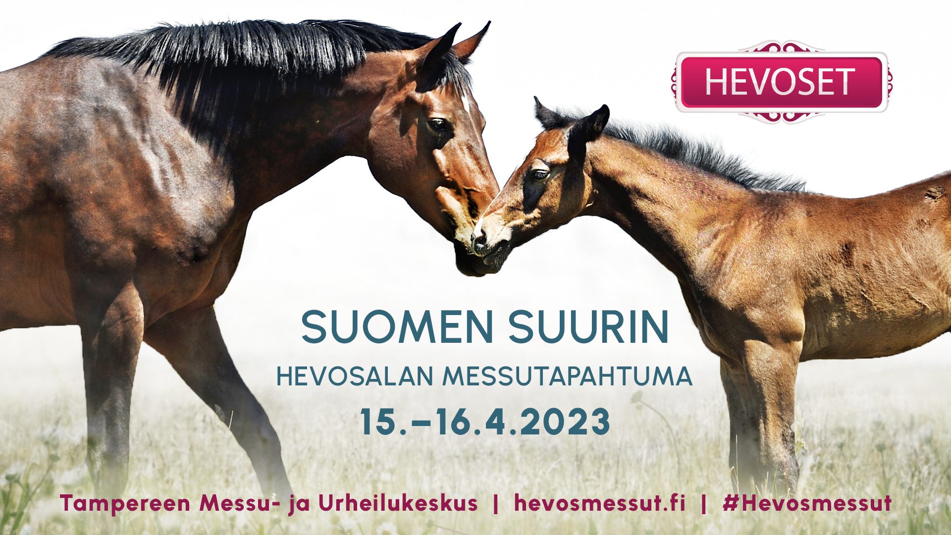 Hevoset-messut 15.–16.4.2023 Tampereen Messu- ja Urheilukeskus