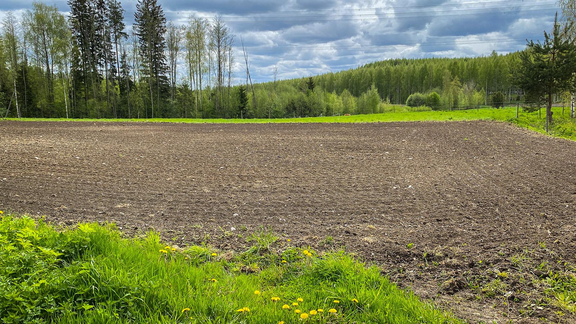Koulutuskenttä – Saravet Vähikkälä / Leiritilat ja palvelut koiraryhmille