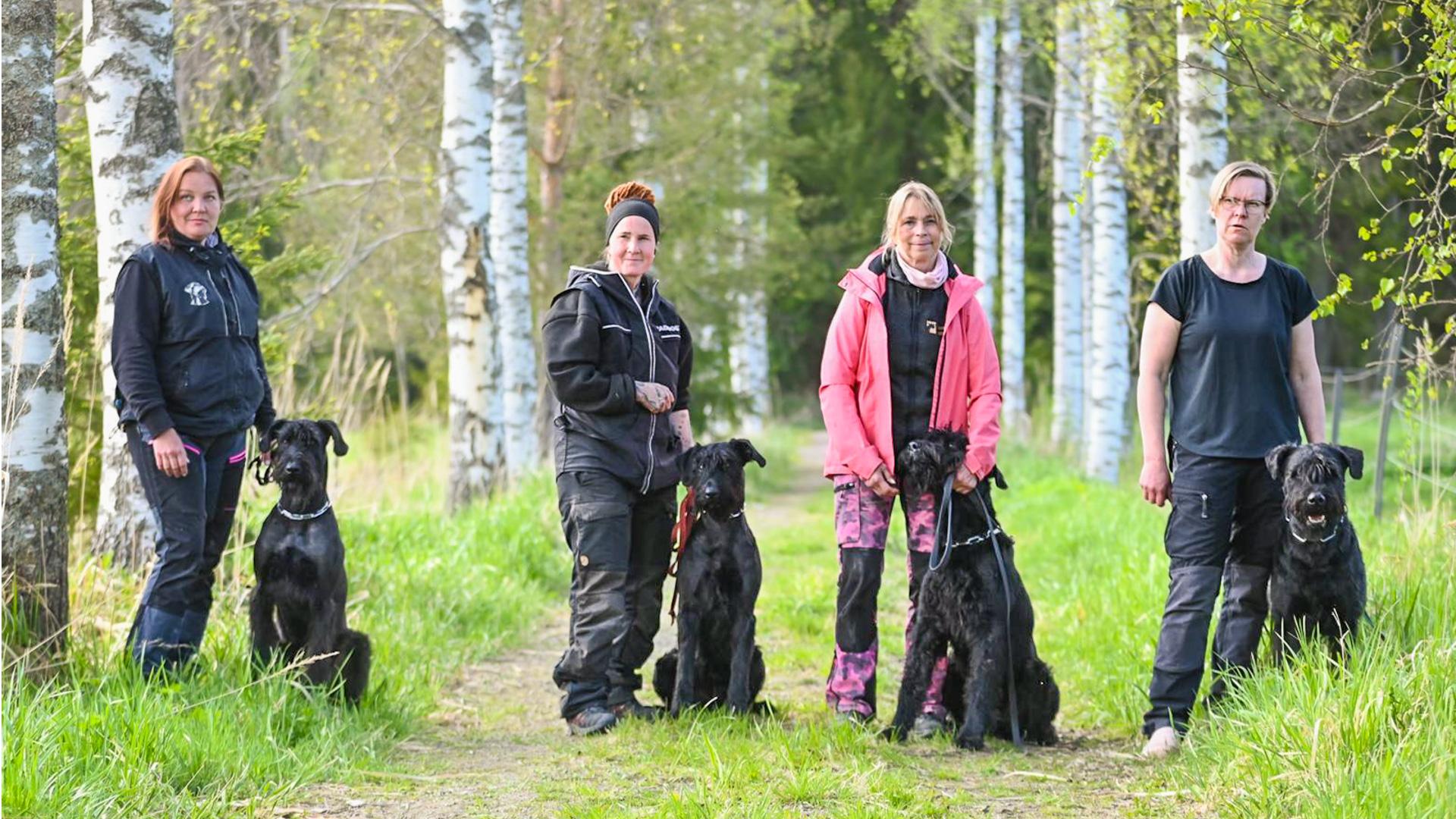 16.5.2026 IGP 1 – Upea päivä. Neljä Saturain-koiraa teki IGP 1 -tuloksen! Saturain Zodiac Killer ja Heidi Vuohelainen, Saturain Zipper Money Bag ja Birgitta Harju, Saturain Zelenskyi ja Satu Halonen, Saturain Unknown Soldier ja Marjatta Alhainen