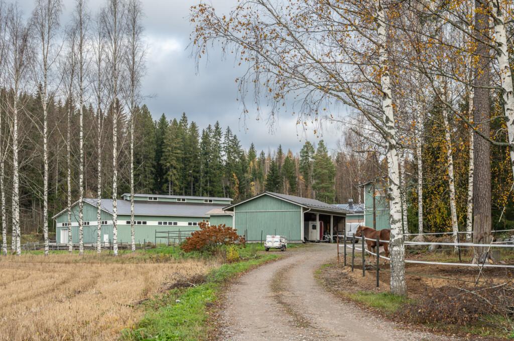 Saapuminen Saravet Vähikkälän tilalle. Kuva: Anu Makinen / mainas.kuvat.fi