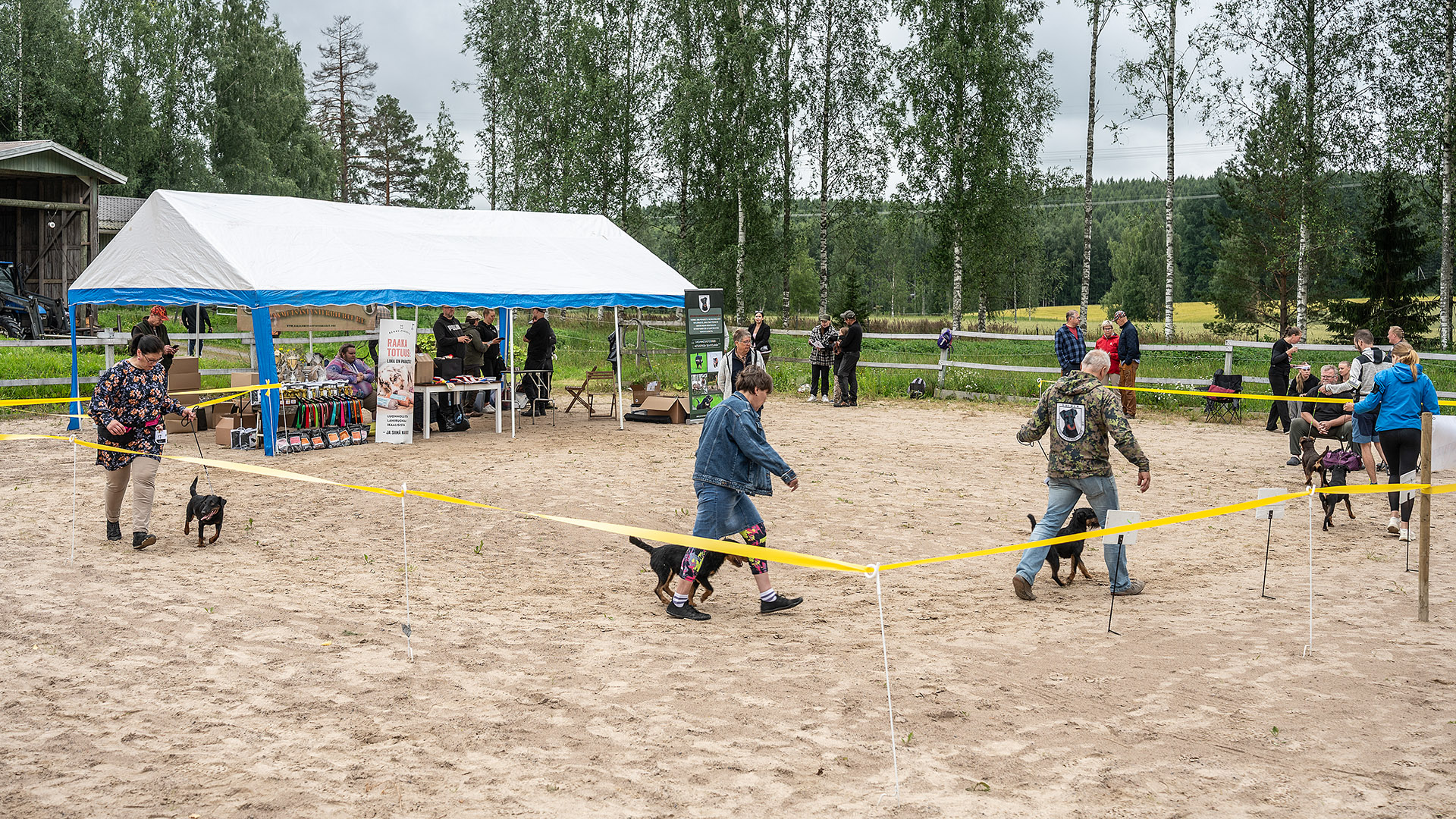 Saravet Vähikkälän ratsastuskenttä toimi Suomen saksanmetsästysterrierien erikoisnäyttelyn päänäyttämönä.